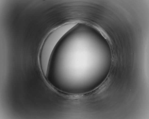 X0000090750813200707201030
