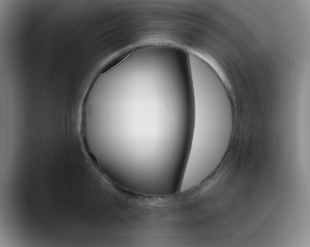 X0000090750815200707201030