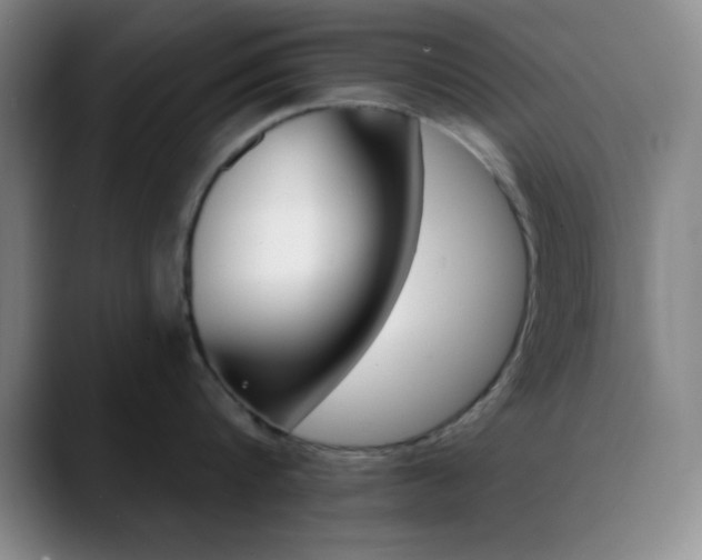 X0000090750816200707201030