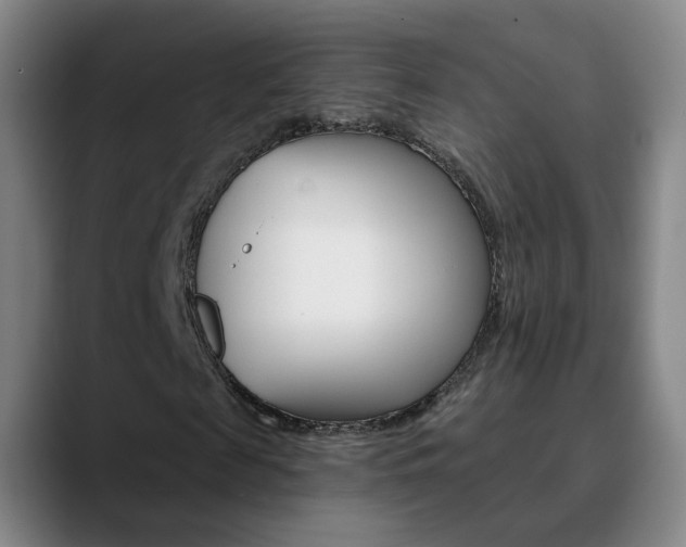 X0000090750817200707201029