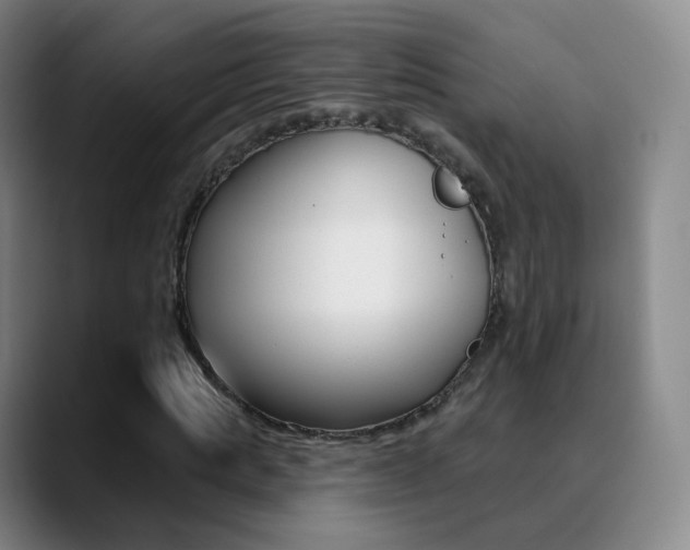 X0000090750821200707201030