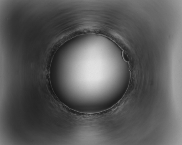 X0000090750822200707201030