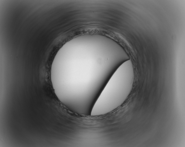 X0000090750823200707201030