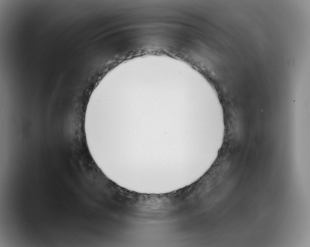 X0000090750824200707201030