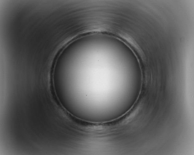 X0000090750834200707201030