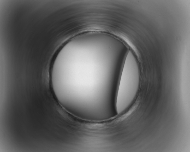 X0000090750837200707201030