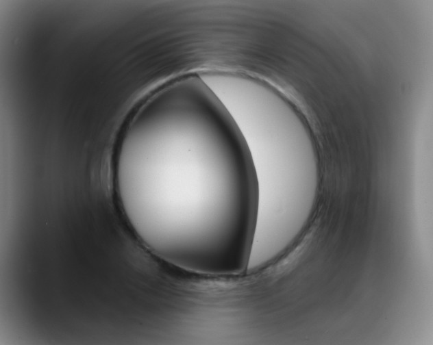 X0000090750838200707201030
