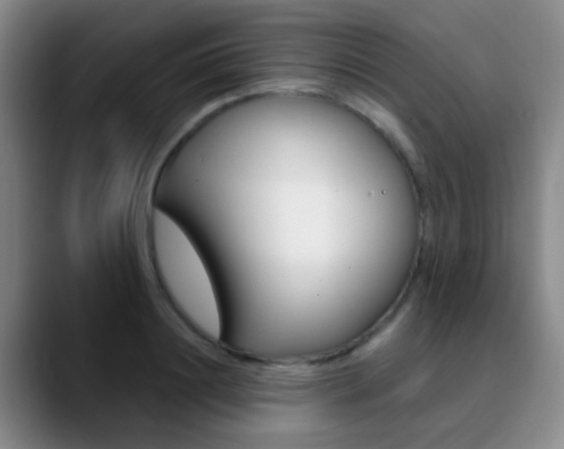 X0000090750844200707201030