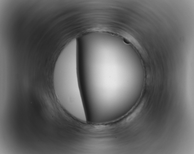 X0000090750849200707201030
