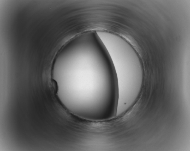 X0000090750850200707201030