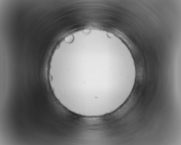 X0000090750856200707201030