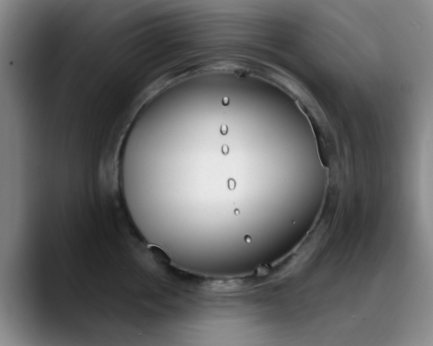 X0000090750858200707201030