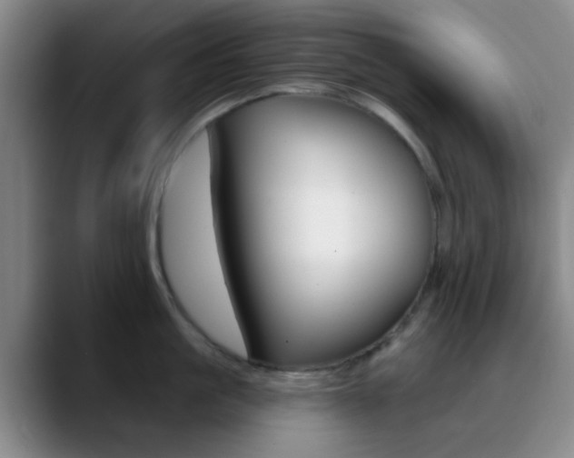 X0000090750861200707201030