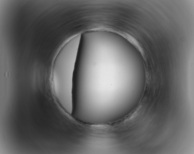 X0000090750863200707201030
