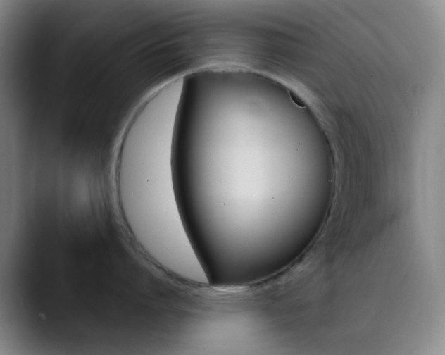 X0000090750864200707201030