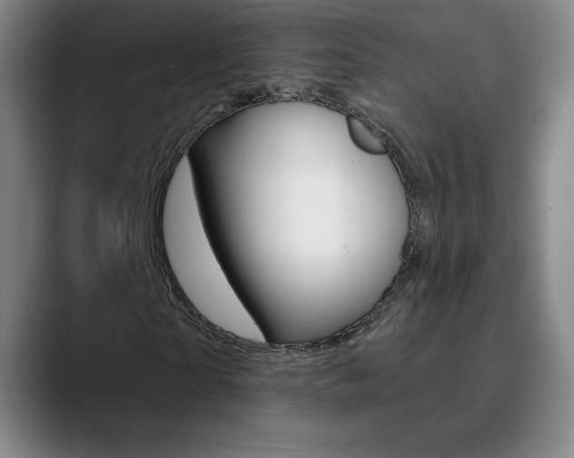 X0000090750865200707201029