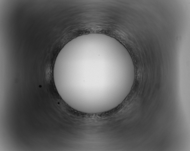 X0000090750866200707201029