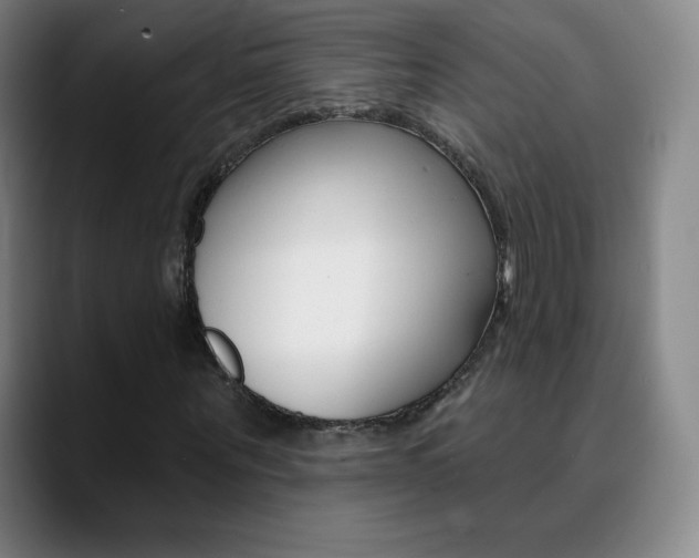 X0000090750867200707201029