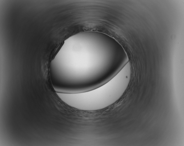 X0000090750868200707201029