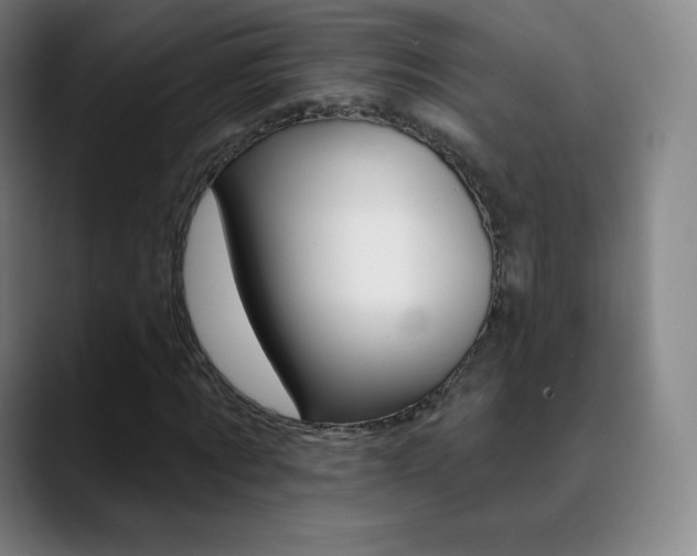 X0000090750869200707201029