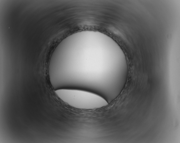 X0000090750870200707201029