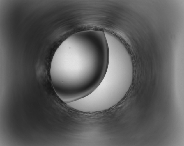 X0000090750872200707201029