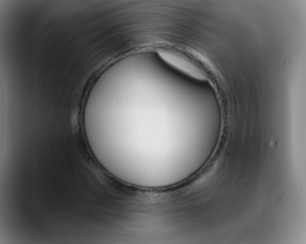 X0000090750873200707201029