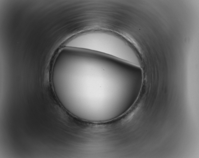 X0000090750877200707201029