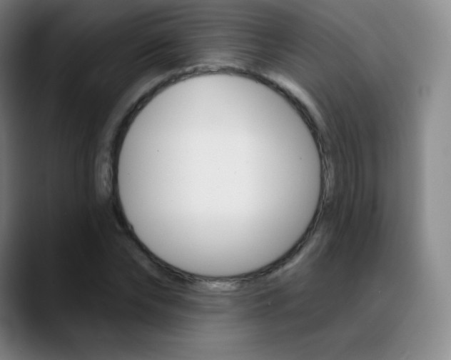 X0000090750878200707201029