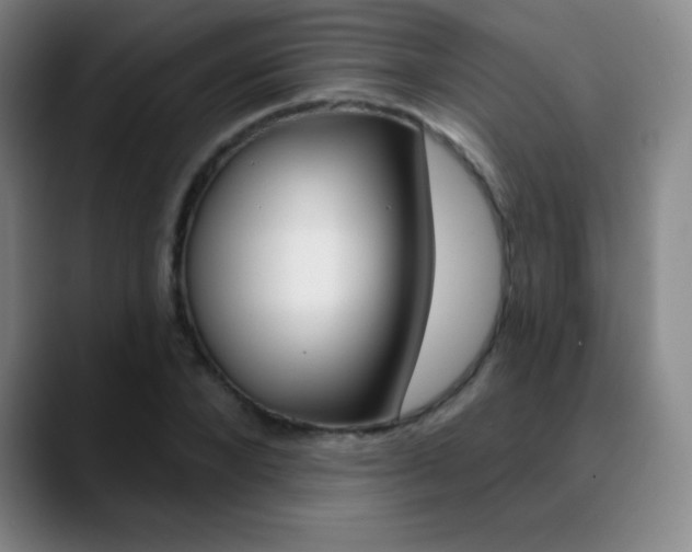 X0000090750880200707201029