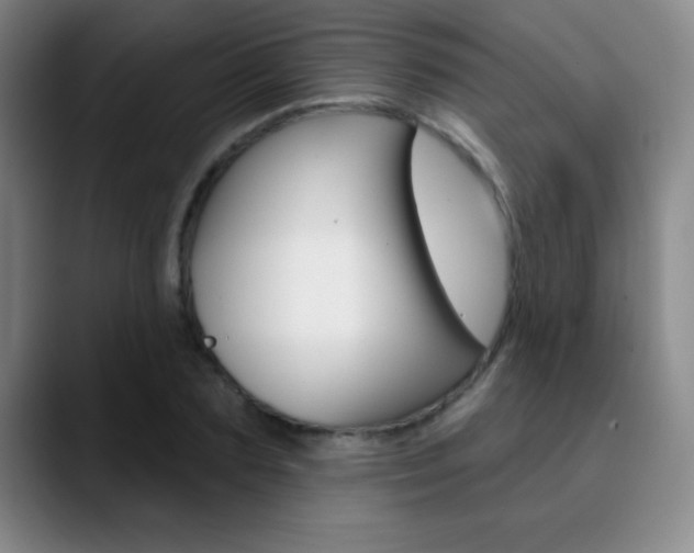 X0000090750883200707201029