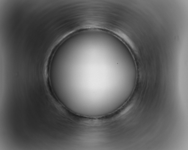 X0000090750885200707201029