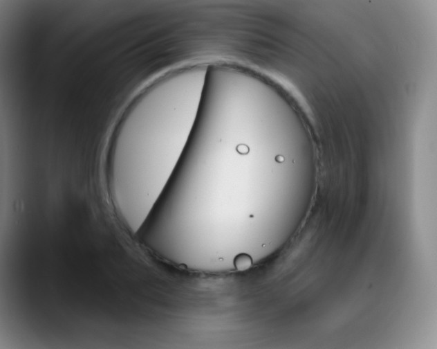 X0000090750887200707201029