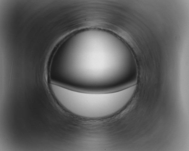 X0000090750888200707201029