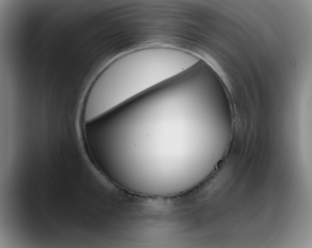 X0000090750901200707201029