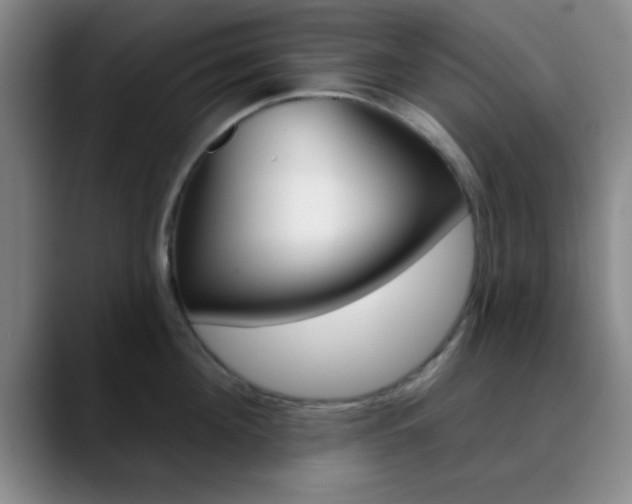 X0000090750908200707201029