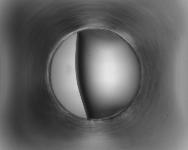 X0000090750912200707201029
