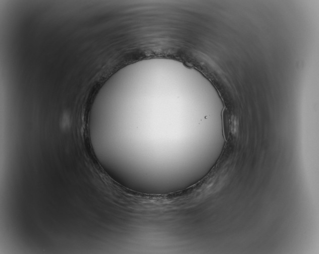 X0000090750915200707201028