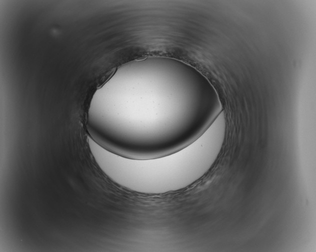 X0000090750916200707201028