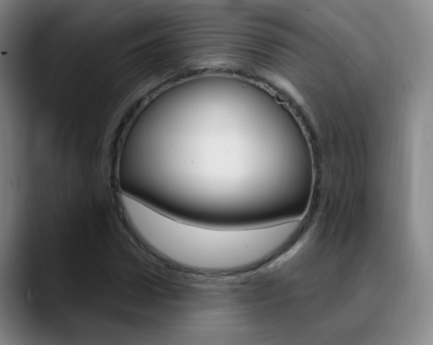 X0000090750922200707201028