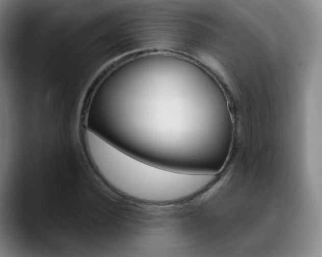 X0000090750924200707201028