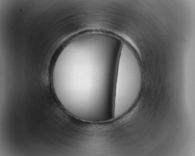 X0000090750927200707201028