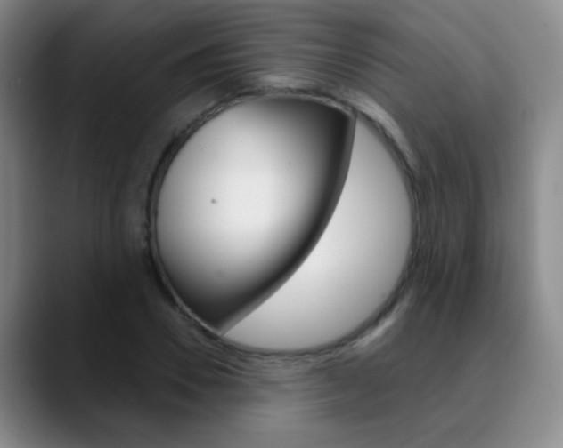 X0000090750930200707201029