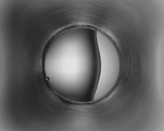 X0000090750934200707201029