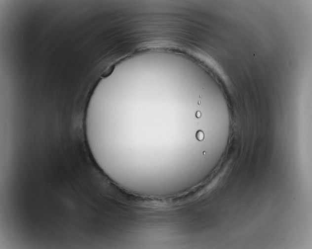 X0000090750937200707201029