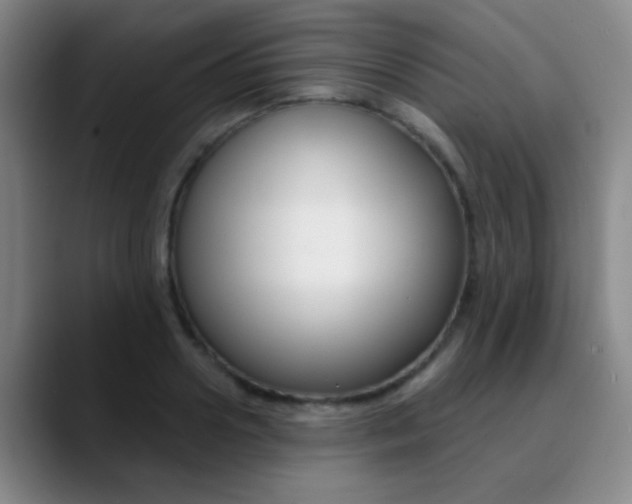X0000090750938200707201029