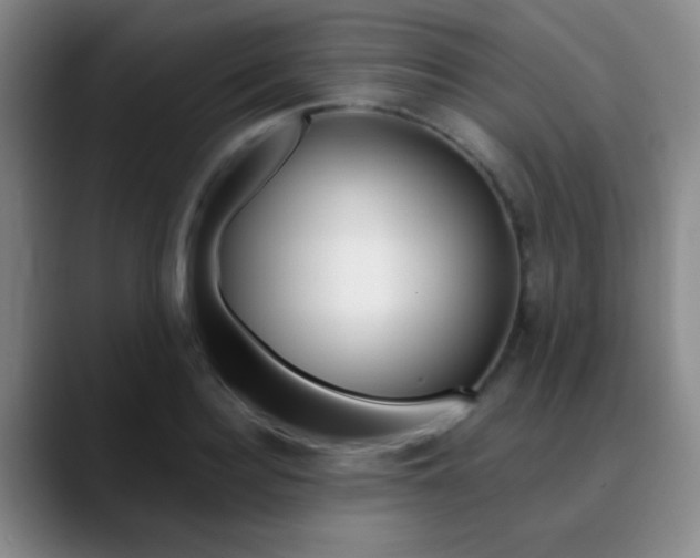 X0000090750940200707201029