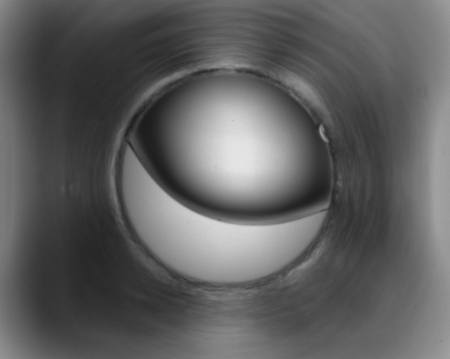 X0000090750942200707201029