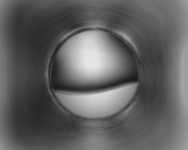 X0000090750943200707201029