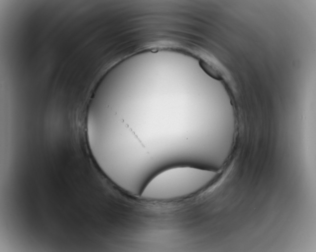 X0000090750945200707201029